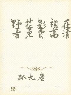 野花影视在线观看免费高清完整中文