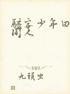 骇客少年田小玟同人封面