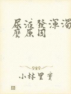 尿液发浑浊是什么原因