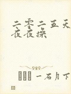 二零二五天天干夜夜操