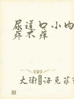 尿道口小肉粒不疼不痒