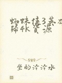 蜘蛛侠3英雄无归4k资源