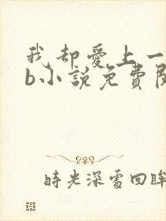 我却爱上一个sb小说免费阅读无弹窗封面