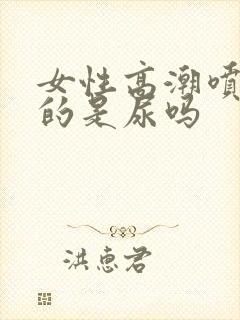 女性高潮喷出来的是尿吗