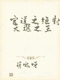 官道之绝对权力 天选之主