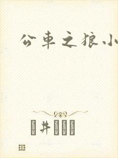 公车之狼小说封面