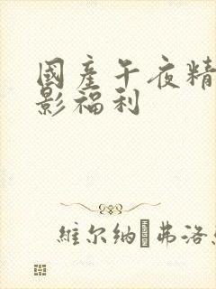 国产午夜精品电影福利