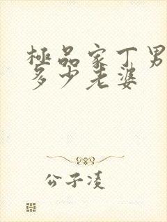 极品家丁男主有多少老婆