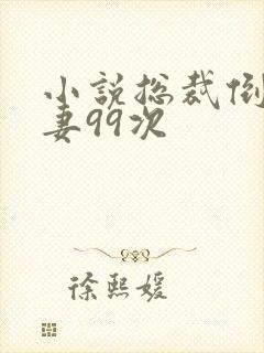 小说总裁倒追前妻99次封面