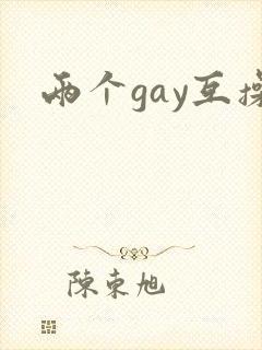 两个gay互操