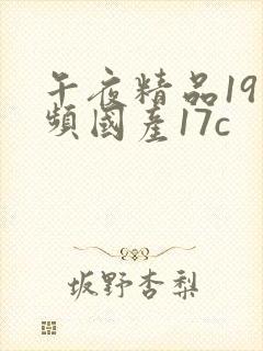 午夜精品19视频国产17c