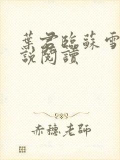 叶君临苏雪儿小说阅读