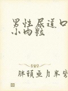 男性尿道口上长小肉粒