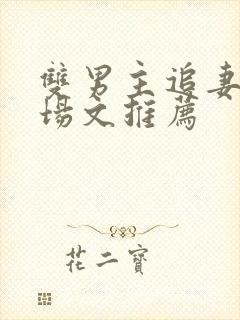 双男主追妻火葬场文推荐封面