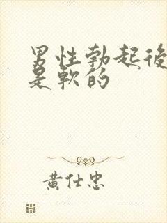 男性勃起后龟头是软的