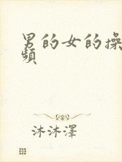 男的女的操的视频