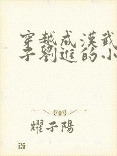 穿越成汉武帝孙子刘进的小说