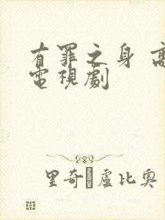 有罪之身 高清电视剧