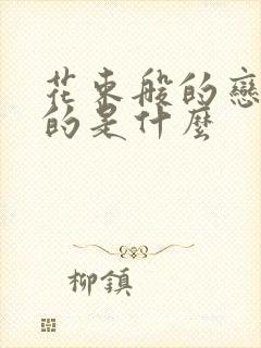 花束般的恋爱讲的是什么封面