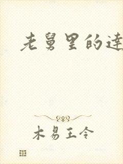 老舅里的达达封面