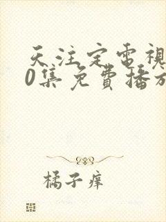 天注定电视剧60集免费播放