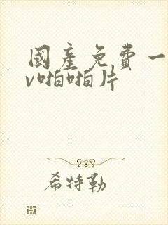 国产免费一级av啪啪片