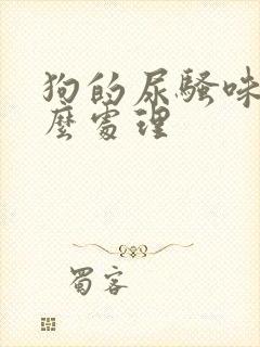 狗的尿骚味大怎么处理