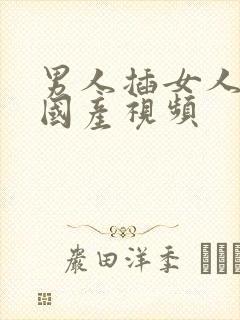 男人插女人下面国产视频封面