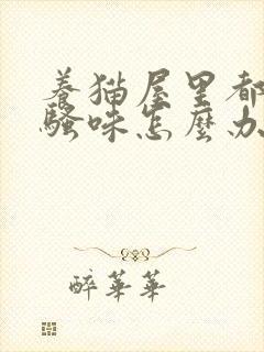 养猫屋里都是尿骚味怎么办