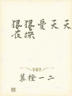 狠狠爱天天干夜夜操封面