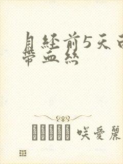 月经前5天白带带血丝封面