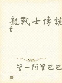 龙战士传说txt