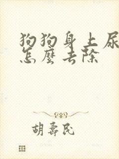 狗狗身上尿骚味怎么去除