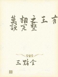 万相之王有声小说完整封面