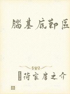 脑基底节区腔梗