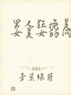 男人狂操美女美女美女的网站国产av