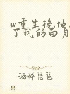 w重生后,他成了我的白月光》封面