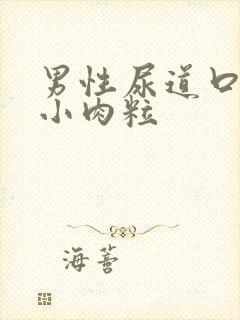 男性尿道口内长小肉粒