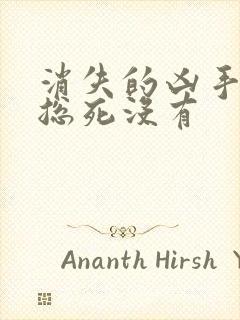 消失的凶手小许总死没有