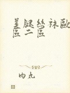 美腿丝袜欧美一区二区