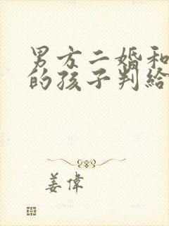 男方二婚和头婚的孩子判给谁封面