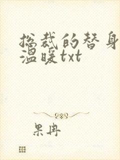 总裁的替身前妻温暖txt封面