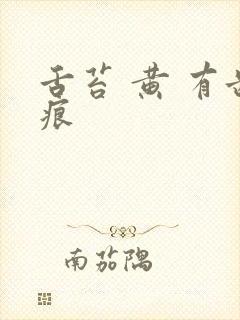 舌苔 黄 有齿痕