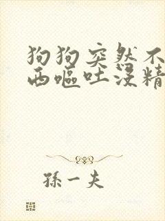 狗狗突然不吃东西呕吐没精神是怎么了封面