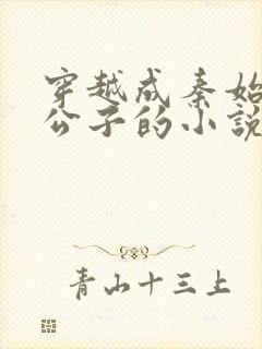 穿越成秦始皇二公子的小说