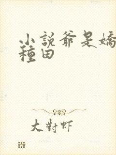 小说爷是娇花不种田