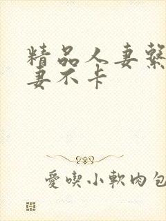 精品人妻系列人妻不卡