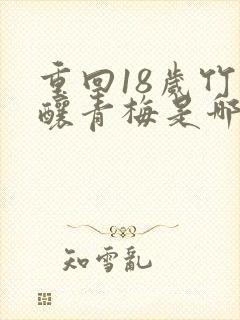 重回18岁竹马酿青梅是哪部小说