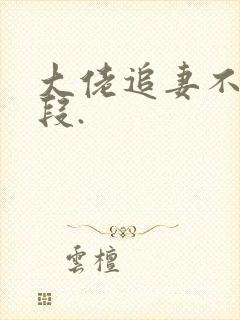 大佬追妻不择手段.