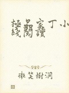 极品家丁小说在线阅读封面